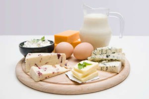 High Protein Diet Foods for Weight Loss